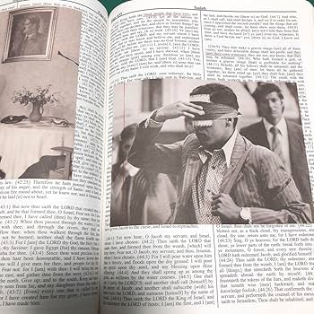 HOLY BIBLE ホーリーバイブル MACK AMC Amazon.co.jp: 本 HOLY BIBLE ホーリーバイブル MACK AMC